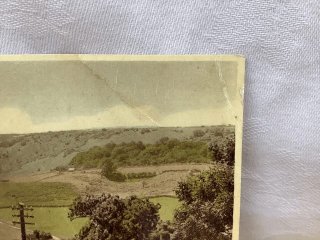 Luccombe Common and Downs, Shanklin, Isle of Wight, J. Arthur Dixon Ltd vintage postcard. Our Ref No. R628 £3.00