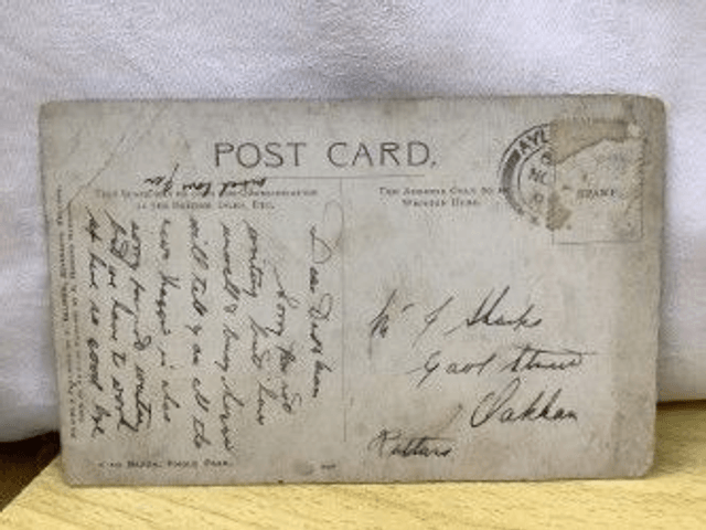 King Beech, Knole Park, Kent, Posted early 1900's,  J. Salmon Antique Postcard. Our Ref No. R460 £2.00