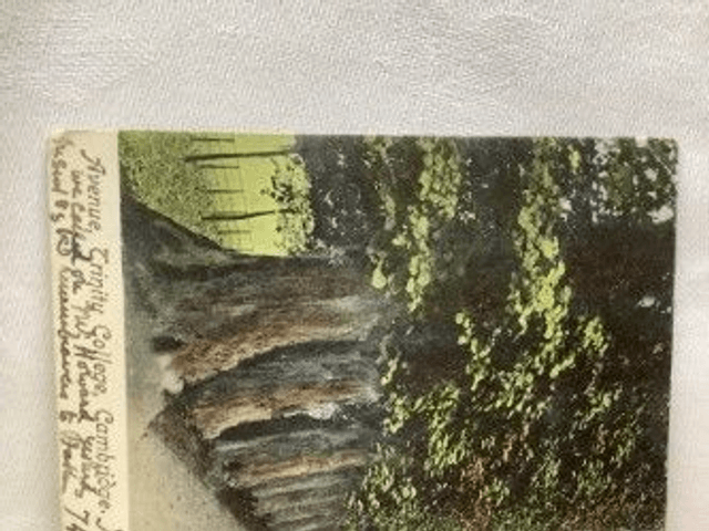 Avenue, Trinity College, Cambridge, Posted 1904 The Woodbury Series Postcard. Our Ref No. R285 £3.45