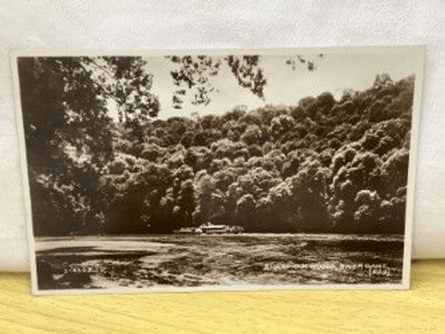 Sharpham Woods, River Dart, Devon, Vintage Valentine's Postcard. Our Ref No. R304 £2.00
