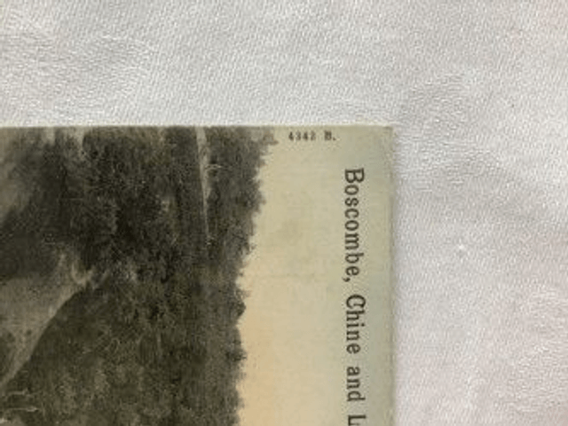Boscombe, Chine and Lake, Dorset, Platino Photo Postcard, Peacock Brand. Our Ref no. R356 £2.50