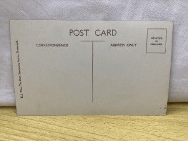 Dartmouth Castle, Devon, E.J. Wise, The Dart Developing Service postcard. Our Ref No. R307 £2.50