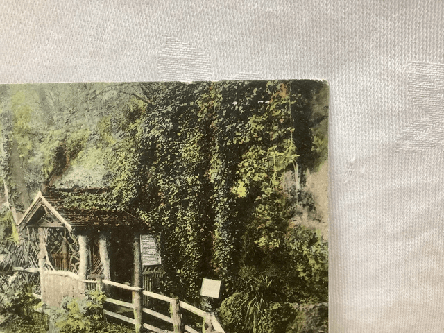 Shanklin Chine, Isle of Wight, vintage F.G.O. Stuart Postcard. Our Ref No. R883 £2.00