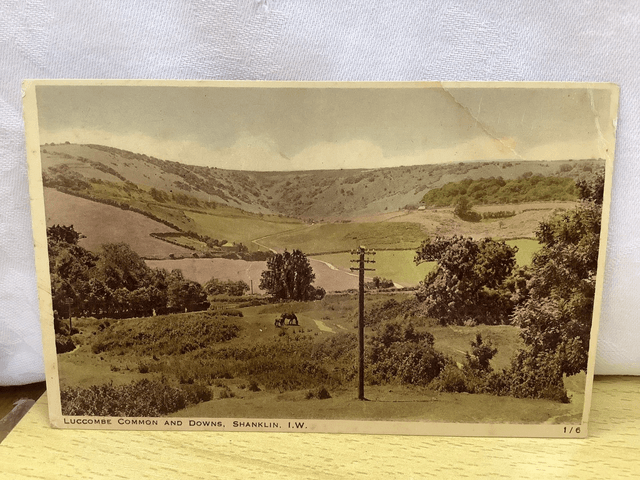 Luccombe Common and Downs, Shanklin, Isle of Wight, J. Arthur Dixon Ltd vintage postcard. Our Ref No. R628 £3.00
