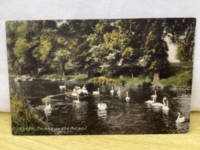 Hythe, Swans on the Canal, Kent, F. Frith & Co. Ltd Vintage Postcard. Our Ref No R386 £2.25