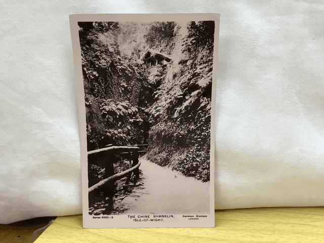 The Chine, Shanklin, Isle of Wight, Davidson Brothers Vintage Postcard. Our Ref No. R599 £2.25