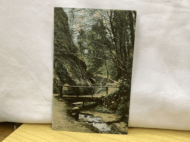 Shanklin Chine, Rustic Bridge, Isle of Wight, The Wrench Series vintage postcard. Our Ref No. R637 £2.50