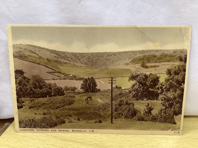 Luccombe Common and Downs, Shanklin, Isle of Wight, J. Arthur Dixon Ltd vintage postcard. Our Ref No. R628 £3.00