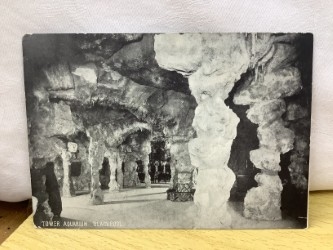 Tower Aquarium, Blackpool, Lancashire, Posted c.1903 unbranded antique postcard. Our Ref No. R 470 £2.00
