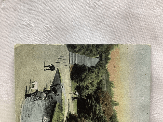 Boscombe, In The Chine, Dorset, Posted  Davidson Bros. Pictorial Post Card. Vintage Postcard Our Ref No. R685 £2.50